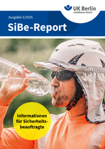 SiBe-Report 3/2025