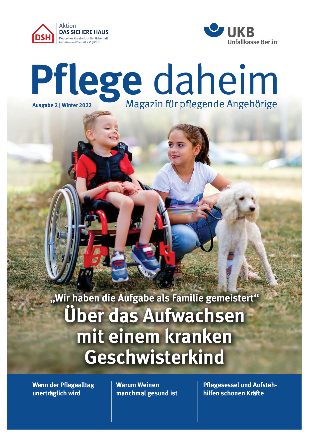 Junge im Rollstuhl spielt mit seiner Schwester und seinem Hund im Park